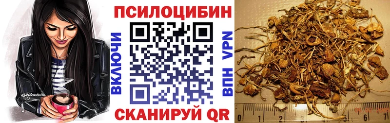 гидра онион  Тейково  Галлюциногенные грибы ЛСД  наркошоп 